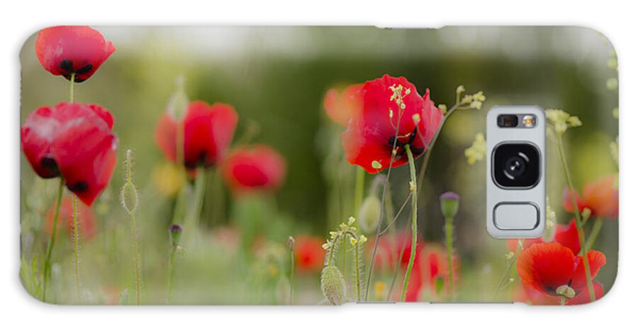 Poppy Galaxy Case featuring the digital art Spring Poppies by Perry Van Munster