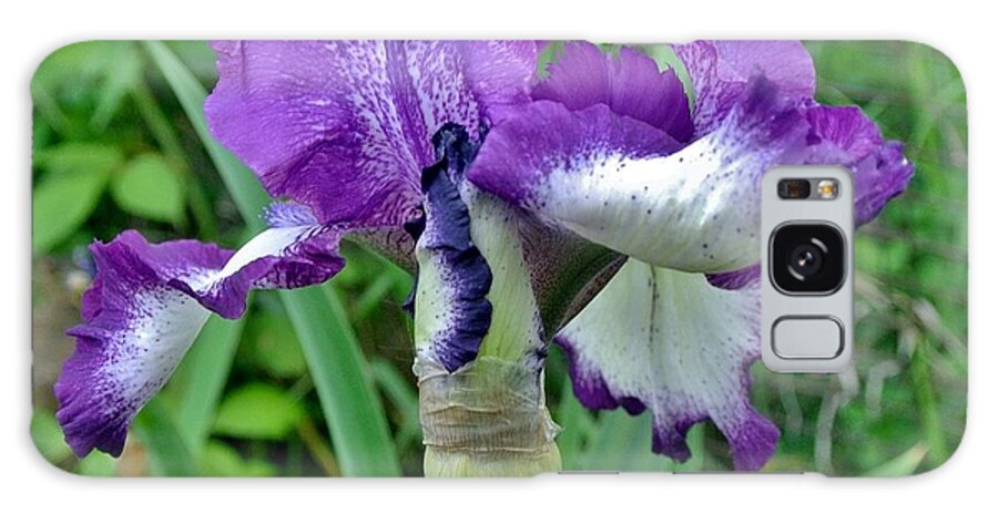 Photo Galaxy Case featuring the photograph Spring Purple Iris by Marsha Heiken