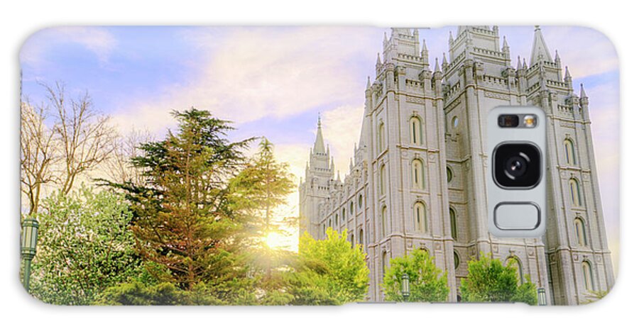 Salt Lake Galaxy Case featuring the photograph Spring Rest by Chad Dutson