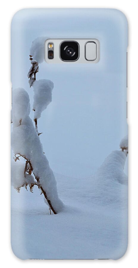 Landscape Galaxy S8 Case featuring the photograph Spring Snow by Ron Cline