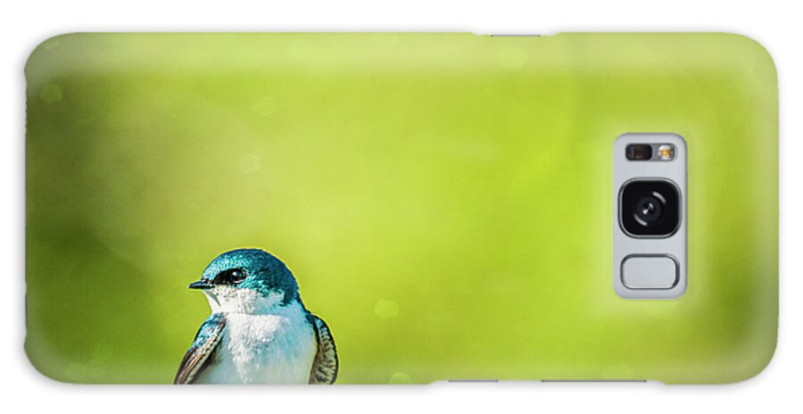 Tree Swallow Galaxy Case featuring the photograph Spring Swallow by Cathy Kovarik
