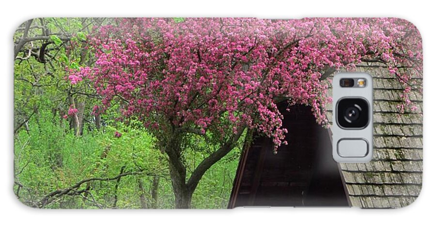 Park Galaxy Case featuring the photograph Springtime in the Park by Lori Frisch