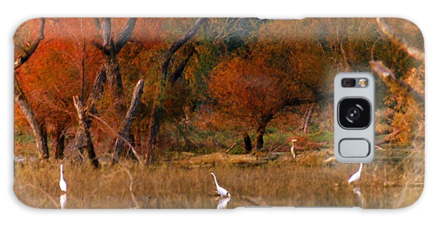 Landscape Galaxy Case featuring the photograph Squaw Creek Egrets by Steve Karol
