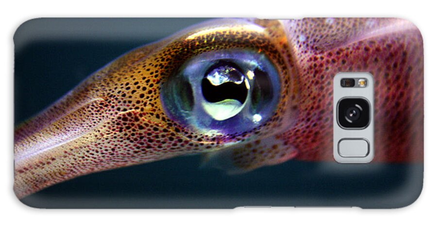 Waikiki Aquarium Galaxy S8 Case featuring the photograph Squid Eye by Jennifer Bright Burr