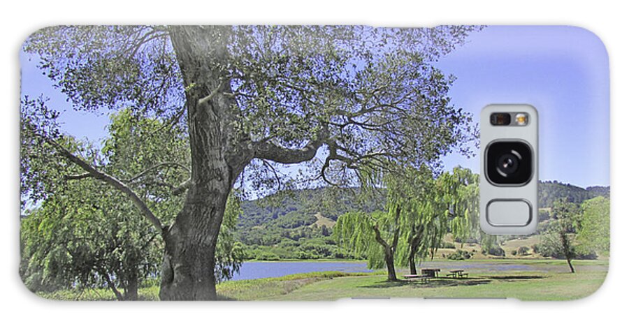 Trees Galaxy Case featuring the photograph Stafford Lake Beauty by Joyce Creswell
