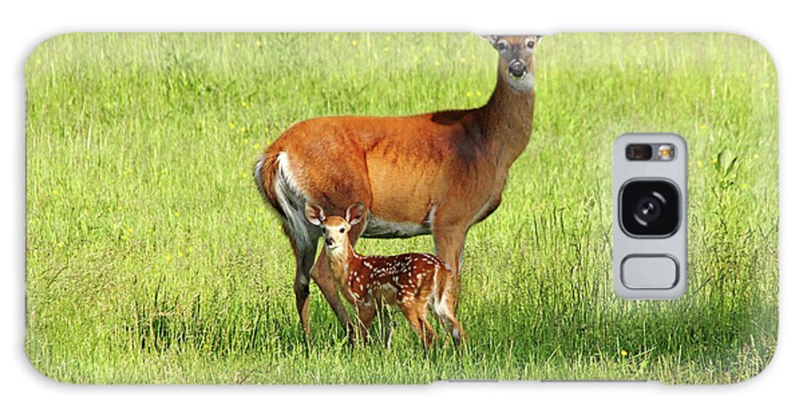 Deer Galaxy Case featuring the photograph Stand By Me by Debbie Oppermann