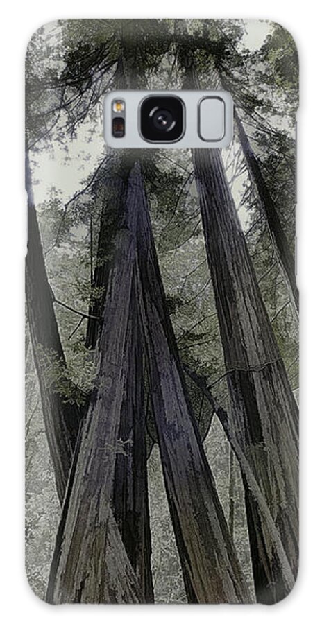 Redwood Galaxy Case featuring the painting Stand of Redwoods by Frank Lee