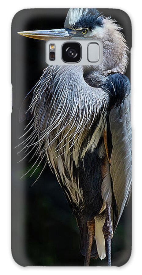 Birds Galaxy S8 Case featuring the photograph Standing Guard by Bruce Bonnett