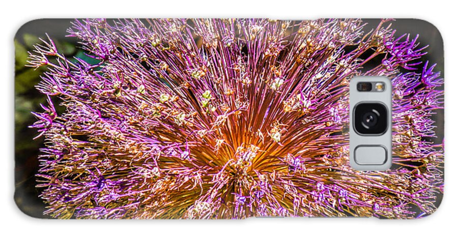 Abstract Galaxy S8 Case featuring the photograph Starburst by Terry Ann Morris