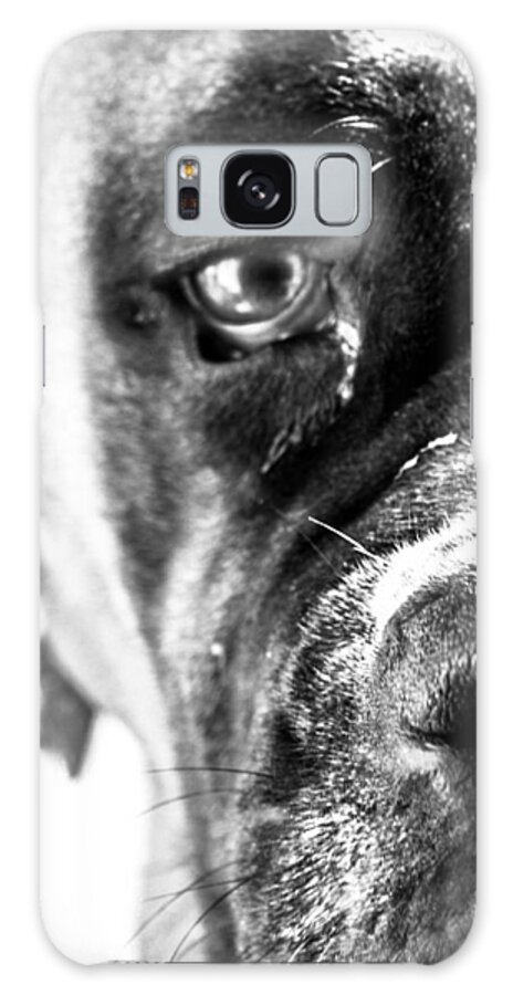 Dog Galaxy Case featuring the photograph Stare-Down by Artsy Gypsy