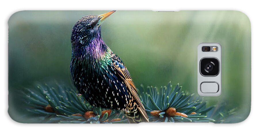Bird Galaxy Case featuring the photograph Starling by Cathy Kovarik