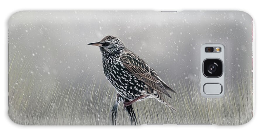 Avian Galaxy Case featuring the photograph Starling In Winter by Cathy Kovarik