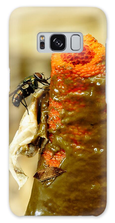 Mutinus Elegans Galaxy S8 Case featuring the photograph Tip Of Stinkhorn Mushroom With Fly by Daniel Reed