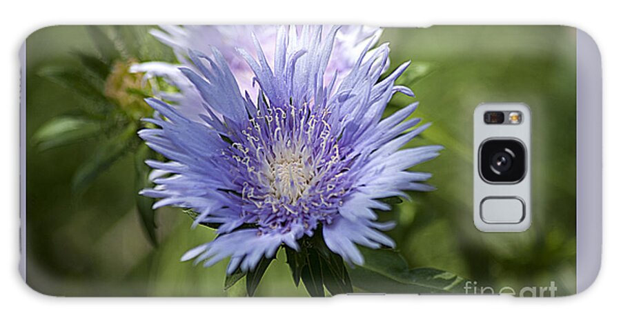 Stokes Aster Galaxy Case featuring the photograph Stokes Aster 20120703_125a by Tina Hopkins