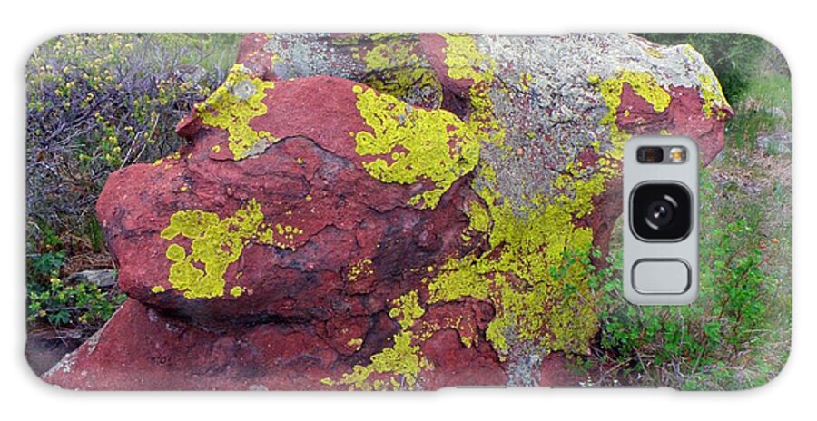 Stone Boulder Colorado Rocks Colorful Lichen Mesa Trail Simplicity Spring Galaxy Case featuring the photograph Stone sculpture by George Tuffy