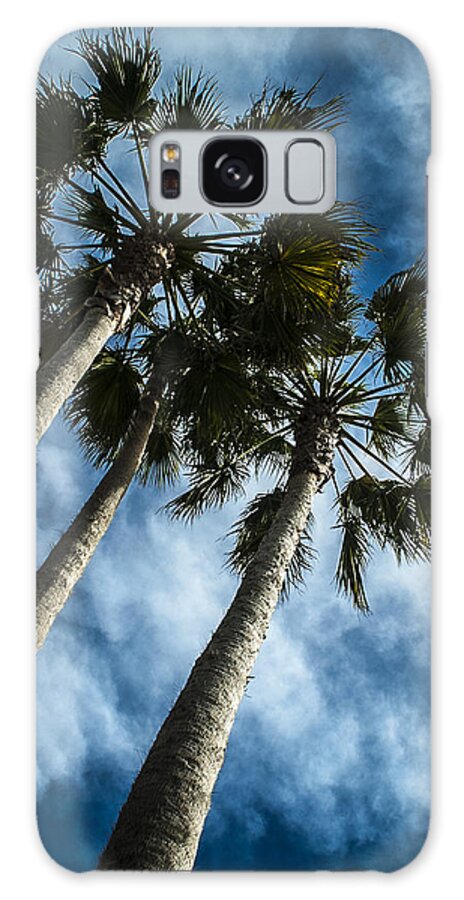 Palm Galaxy Case featuring the photograph Stormy Palms 1 by David Smith