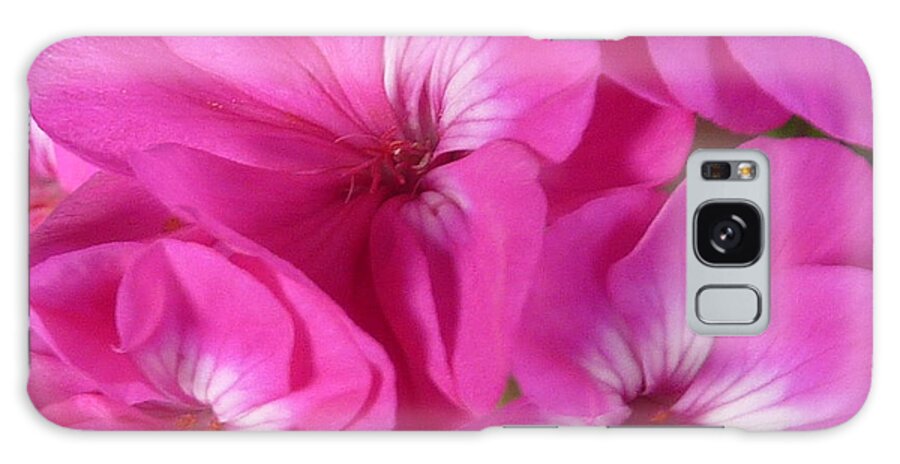 Flower Galaxy Case featuring the photograph Strength and Beauty by Melanie Moraga