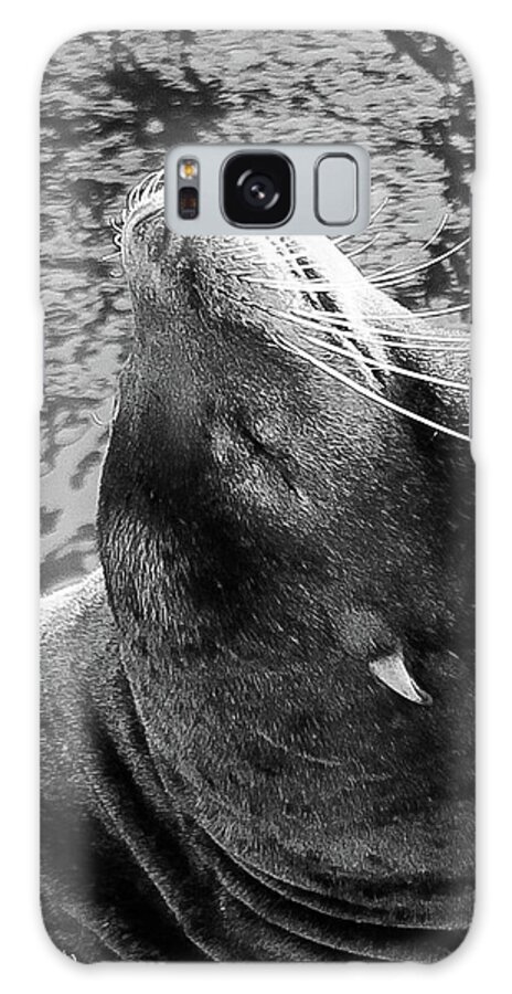 Wildlife Galaxy Case featuring the photograph Stretch, Black and White by Adam Morsa