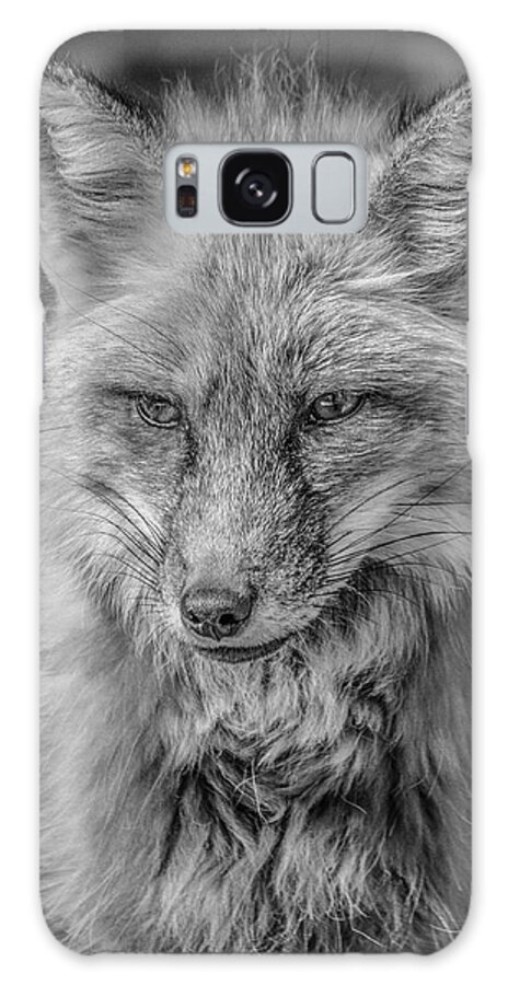 Tl Wilson Photography Galaxy Case featuring the photograph Striking a Pose Black and White by Teresa Wilson