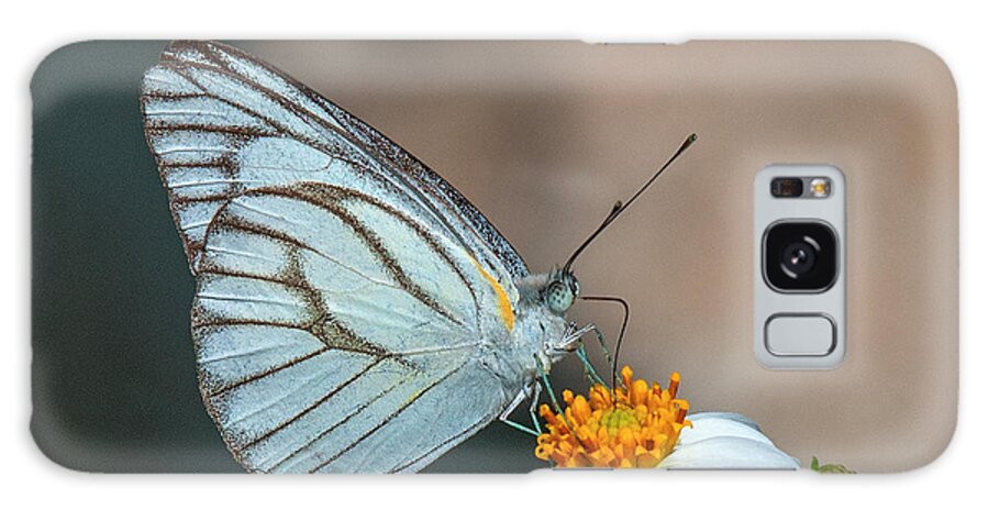 Nature Galaxy Case featuring the photograph Striped Albatross Butterfly DTHN0209 by Gerry Gantt
