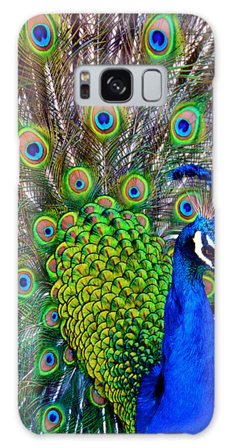 Zoo Galaxy Case featuring the photograph Strut by Angelina Tamez