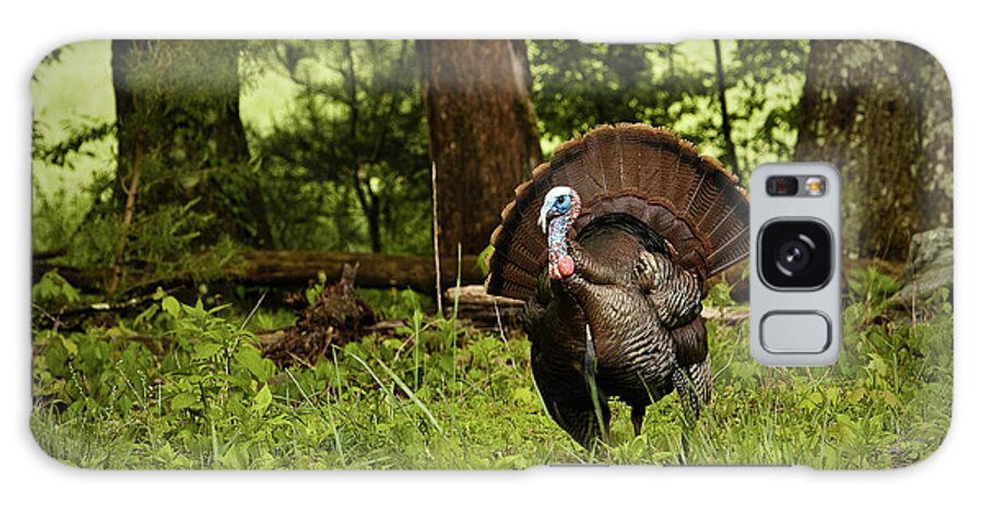 Wild Turkey Galaxy Case featuring the photograph Strutting Tom by Randall Evans