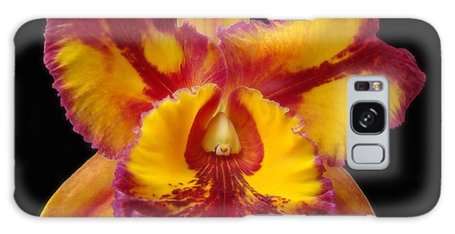 Orchid Galaxy S8 Case featuring the photograph Stunning Orchid Closeup by Sue Melvin