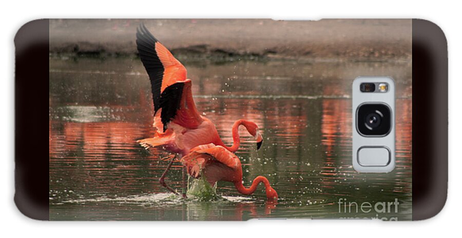 Flamingo Galaxy Case featuring the photograph Stunning Pink Flamingo's by Doc Braham