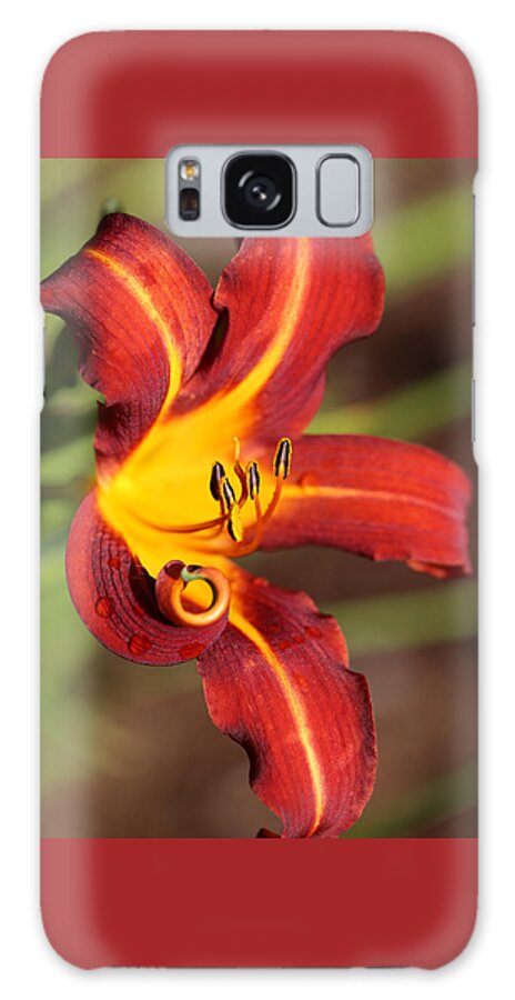 Daylily Curl Galaxy Case featuring the photograph Stylistic Daylily by Tammy Pool