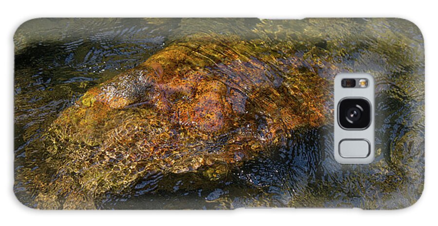 Maryland Galaxy Case featuring the photograph Submerged Rock by Chris Scroggins