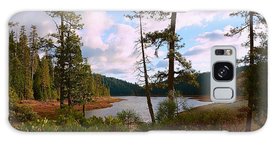Sugar Pine Lake Trail Galaxy S8 Case featuring the photograph Sugar Pine Lake Trail by Patrick Witz
