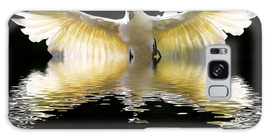 Bird In Flight Galaxy Case featuring the photograph Sulphur crested cockatoo rising by Sheila Smart Fine Art Photography