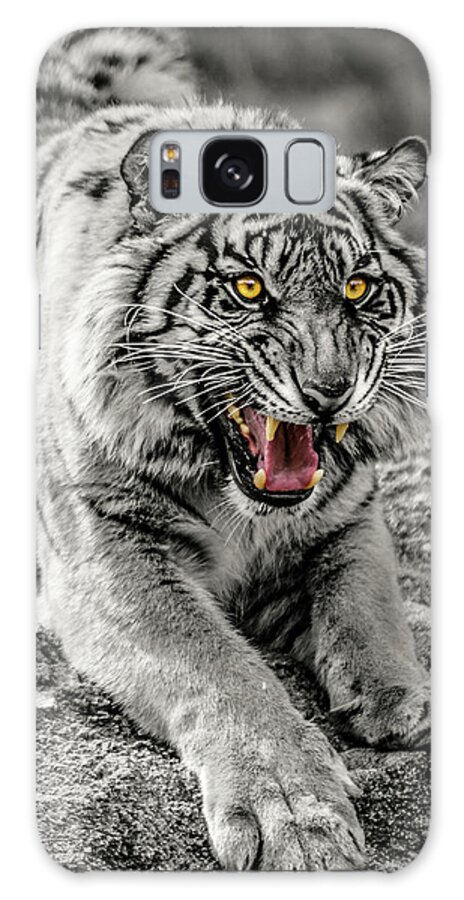 Sumatran Galaxy Case featuring the photograph Sumatran Tiger BW W with Selective Color by Rob Green