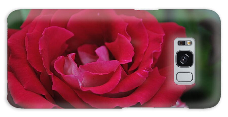Red Rose Galaxy Case featuring the digital art Summer Beauty by Steven Wills