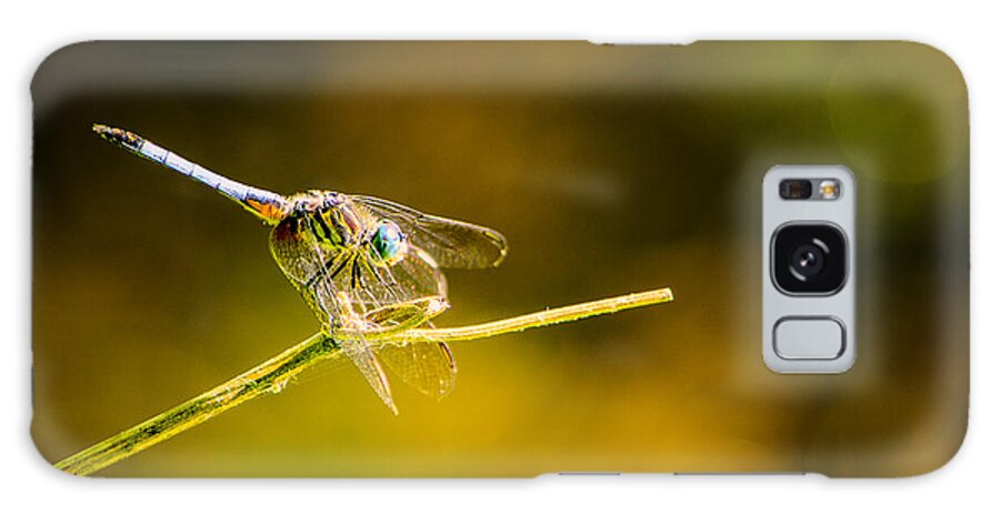 Dragonfly Galaxy S8 Case featuring the photograph Summer Days by Craig Szymanski