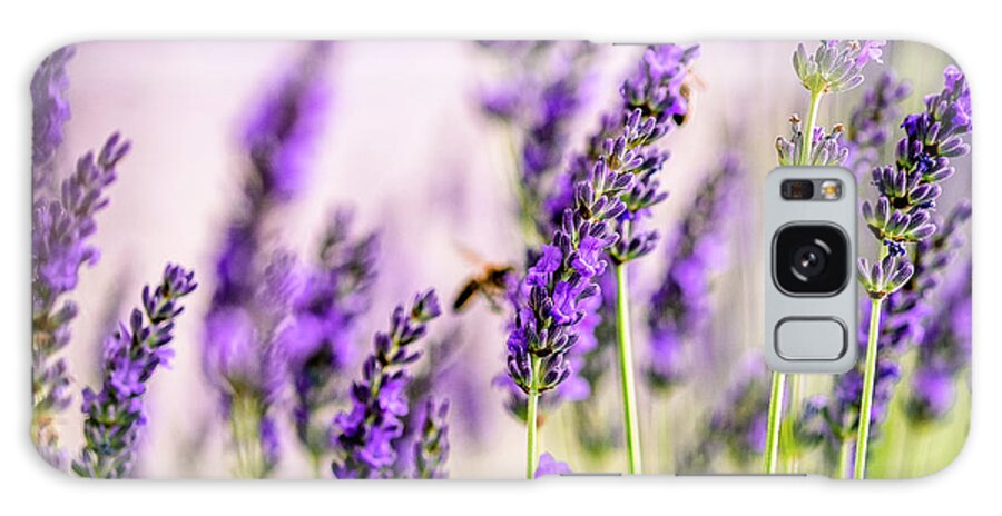 Lavender Galaxy Case featuring the photograph Summer Lavender by Nailia Schwarz