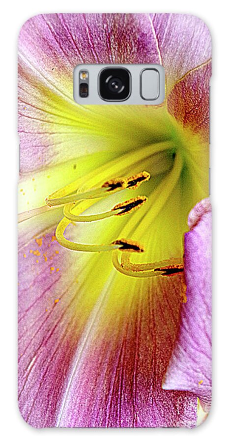 Lilly Galaxy Case featuring the photograph Summer Lilly by Randy Pollard