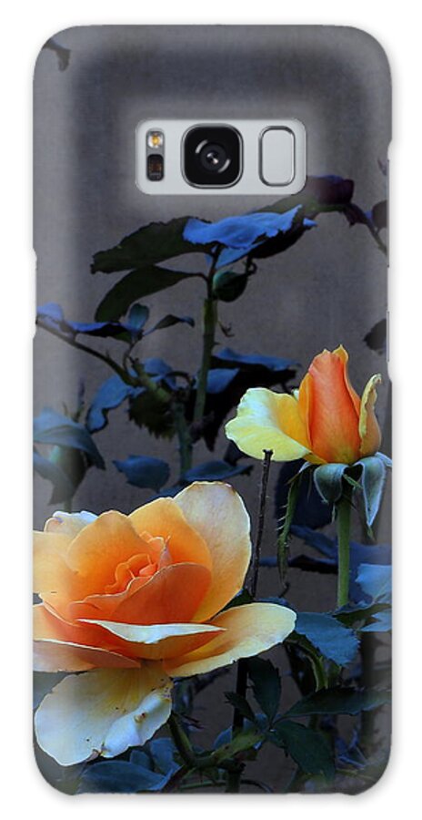 Landscape Galaxy Case featuring the photograph Summer Morning Golden Rose by Richard Thomas
