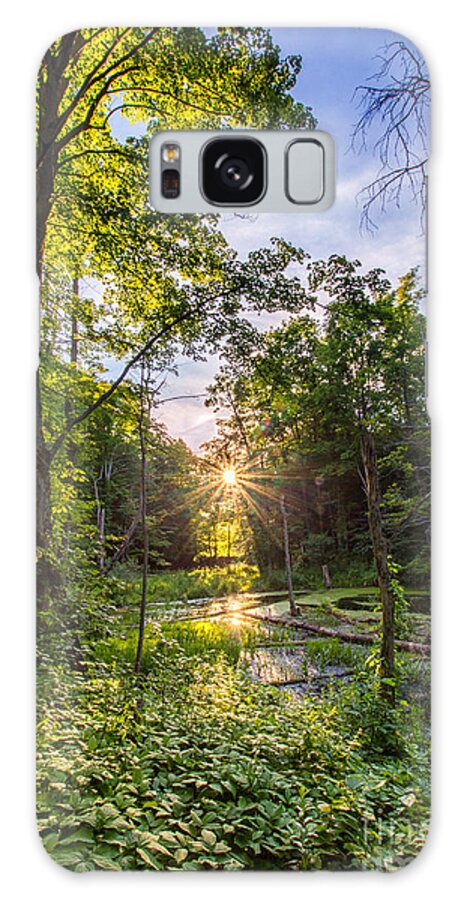 Sun Galaxy Case featuring the photograph Sundown at Creekside by Rod Best