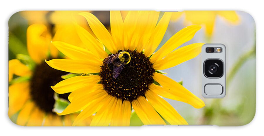 Bumble Bee Galaxy Case featuring the photograph Sunflower Bee by Mindy Musick King