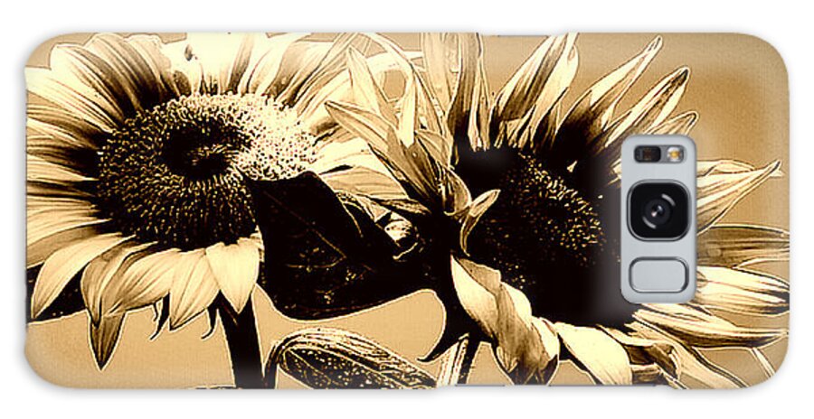 Sunflower Galaxy Case featuring the photograph Sunflower Duo in sepia by Alexis King-Glandon