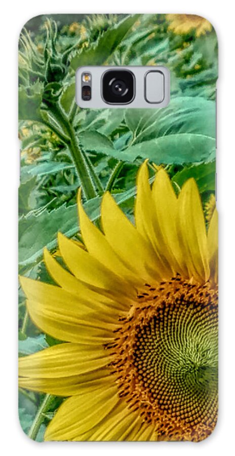Sunflower Galaxy Case featuring the photograph Sunflower Field by ChelleAnne Paradis