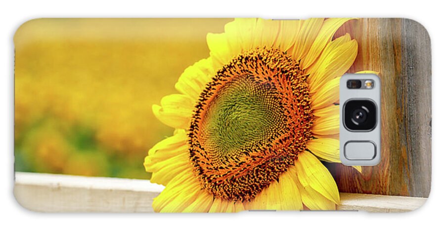 Sunflower Galaxy Case featuring the photograph Sunflower on the Fence by Eleanor Abramson