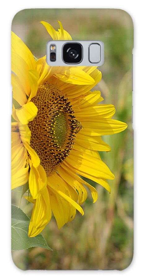 Sunflower Galaxy Case featuring the photograph Sunflower Show Off by Linda Mishler