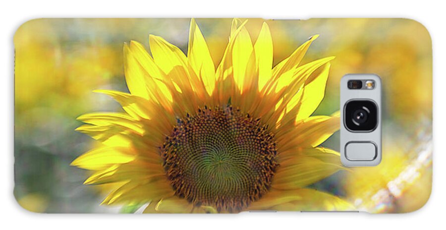 Flower Galaxy Case featuring the photograph Sunflower with Lens Flare by Natalie Rotman Cote