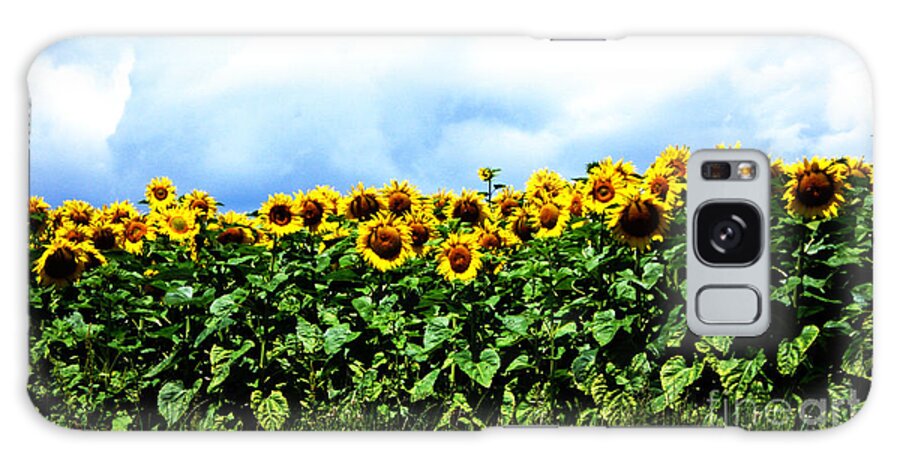 Sunflowers Galaxy Case featuring the photograph Sunflowers 2 by Jeff Barrett