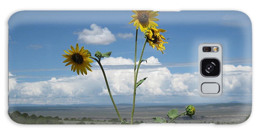  Galaxy Case featuring the photograph Sunflowers on the Gorge by Ron Monsour