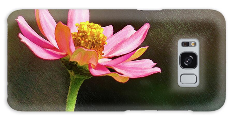 Zinnia Galaxy Case featuring the photograph Sunlit Uplifting Beauty by Sue Melvin