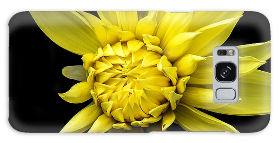Yellow Flower Galaxy Case featuring the photograph Sunny Prince by Marina Kojukhova