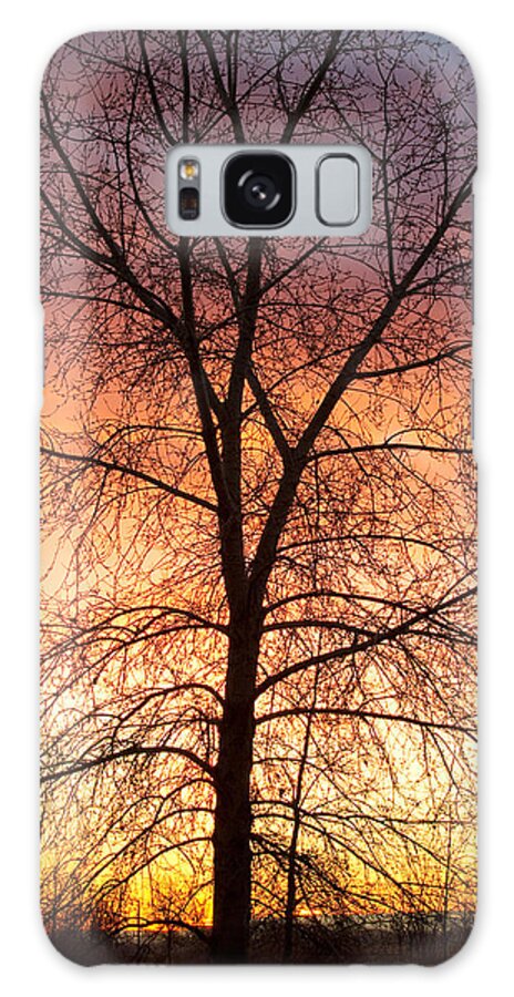 Pella Ponds Galaxy Case featuring the photograph Sunrise December 16th 2010 by James BO Insogna